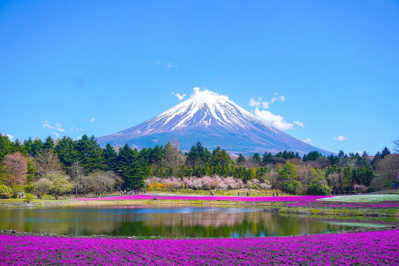 Mount Fuji lake mountain park